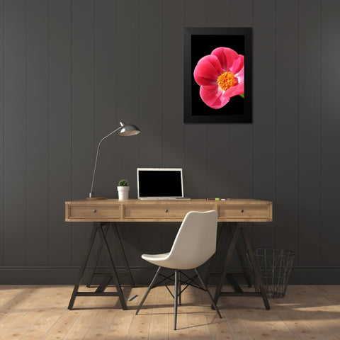 Pink Peony I Black Modern Wood Framed Art Print by Putman, Tammy