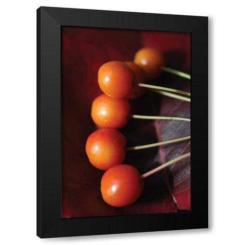 Berries I Black Modern Wood Framed Art Print with Double Matting by Putman, Tammy