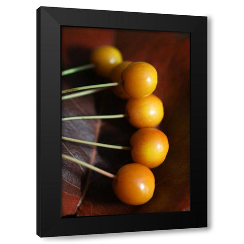 Berries II Black Modern Wood Framed Art Print with Double Matting by Putman, Tammy