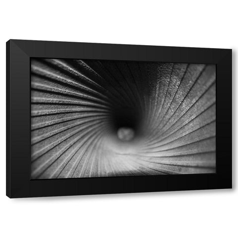 Inside a Howitzer Black Modern Wood Framed Art Print with Double Matting by Putman, Tammy