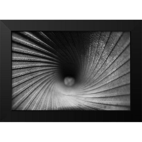 Inside a Howitzer Black Modern Wood Framed Art Print by Putman, Tammy