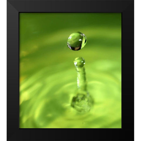 Lemon Lime Drop III Black Modern Wood Framed Art Print by Putman, Tammy