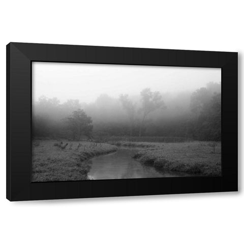 Creek in Fog I Black Modern Wood Framed Art Print with Double Matting by Putman, Tammy