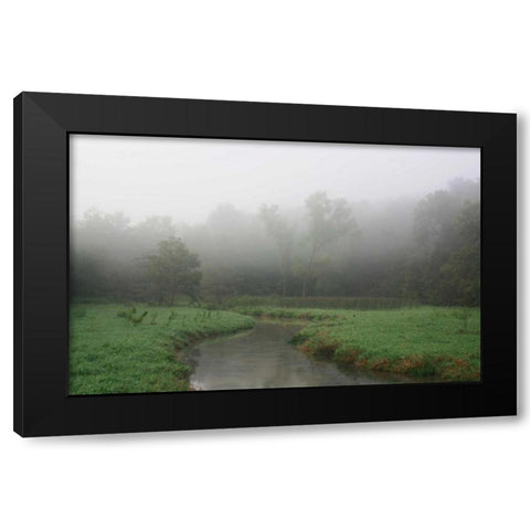 Creek in Fog I Black Modern Wood Framed Art Print with Double Matting by Putman, Tammy