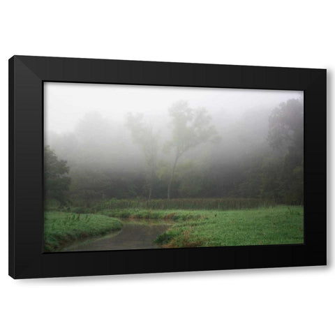 Creek in Fog II Black Modern Wood Framed Art Print by Putman, Tammy