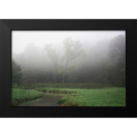 Creek in Fog II Black Modern Wood Framed Art Print by Putman, Tammy