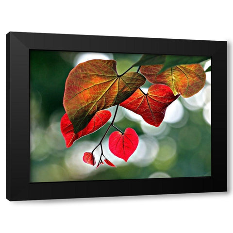 Red Black Modern Wood Framed Art Print by Putman, Tammy