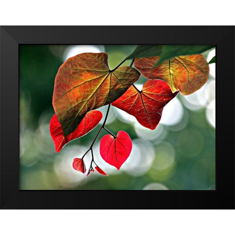 Red Black Modern Wood Framed Art Print by Putman, Tammy