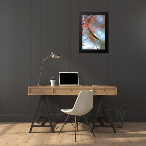 Cedar Wax Wing Black Modern Wood Framed Art Print by Putman, Tammy