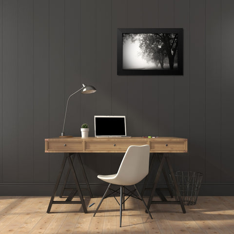 Morning Walk Black Modern Wood Framed Art Print by Putman, Tammy