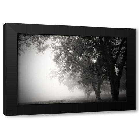 Morning Walk Black Modern Wood Framed Art Print with Double Matting by Putman, Tammy