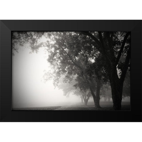 Morning Walk Black Modern Wood Framed Art Print by Putman, Tammy