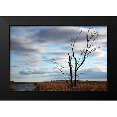Dakota View Black Modern Wood Framed Art Print by Putman, Tammy