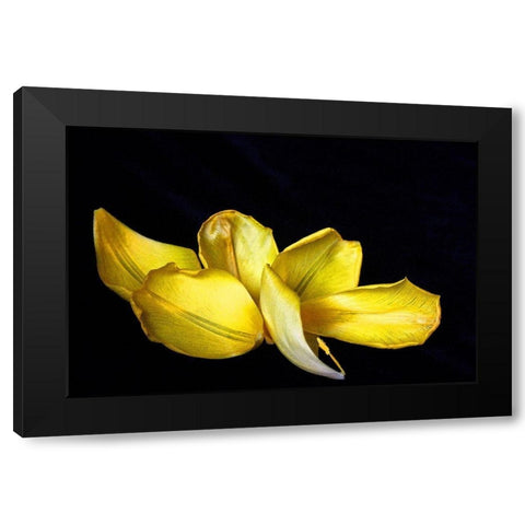 Pieces Black Modern Wood Framed Art Print with Double Matting by Putman, Tammy