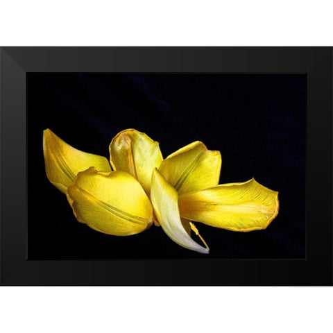 Pieces Black Modern Wood Framed Art Print by Putman, Tammy