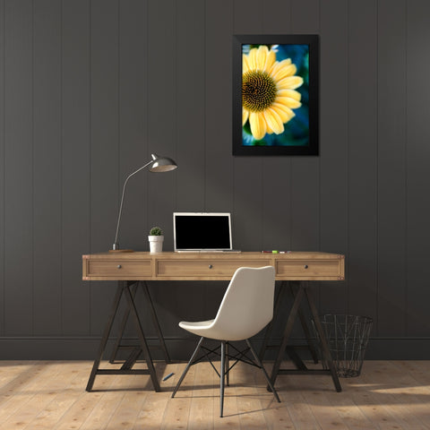 Cone Flowers III Black Modern Wood Framed Art Print by Putman, Tammy