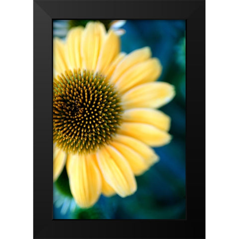 Cone Flowers III Black Modern Wood Framed Art Print by Putman, Tammy
