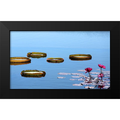 Lily Pads Black Modern Wood Framed Art Print by Putman, Tammy