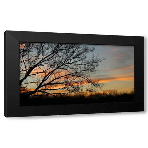 Dusk Silhouette I Black Modern Wood Framed Art Print with Double Matting by Putman, Tammy