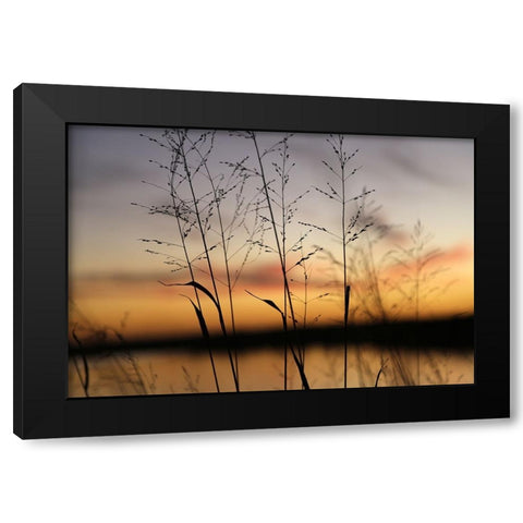 Dusk Silhouette II Black Modern Wood Framed Art Print with Double Matting by Putman, Tammy
