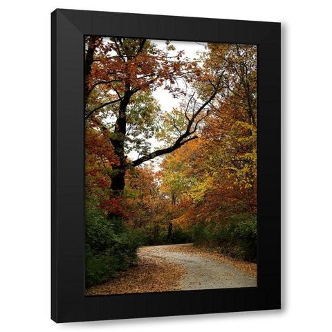 Autumn Drive Black Modern Wood Framed Art Print by Putman, Tammy
