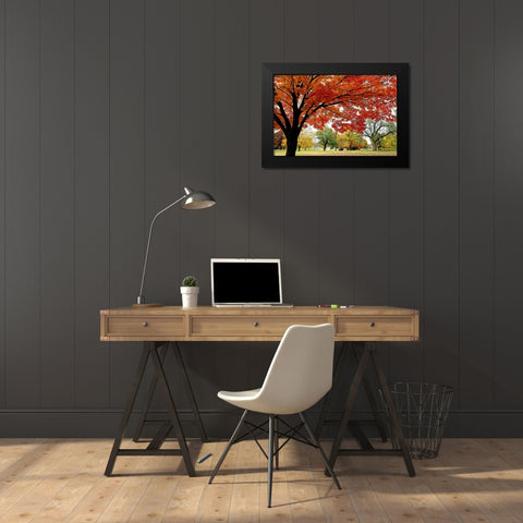 Red Fall Black Modern Wood Framed Art Print by Putman, Tammy