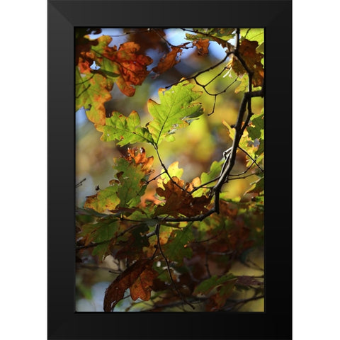 Green Andamp; Copper Black Modern Wood Framed Art Print by Putman, Tammy
