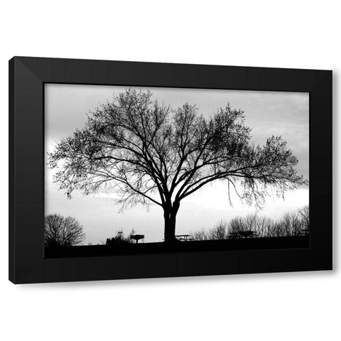 Dusk Black Modern Wood Framed Art Print by Putman, Tammy