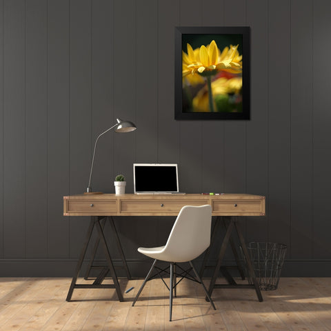 Yellow Daisies Black Modern Wood Framed Art Print by Putman, Tammy