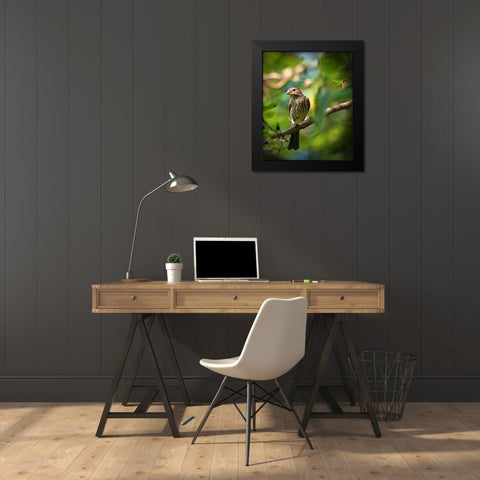 Finch Black Modern Wood Framed Art Print by Putman, Tammy