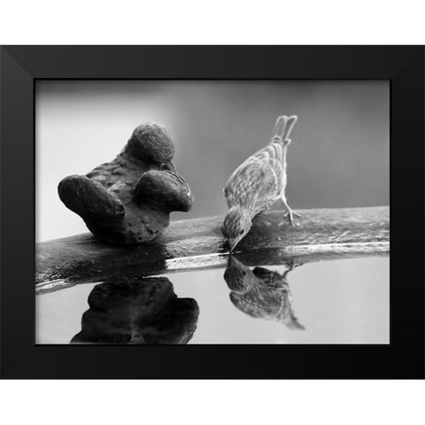 Finch II Black Modern Wood Framed Art Print by Putman, Tammy