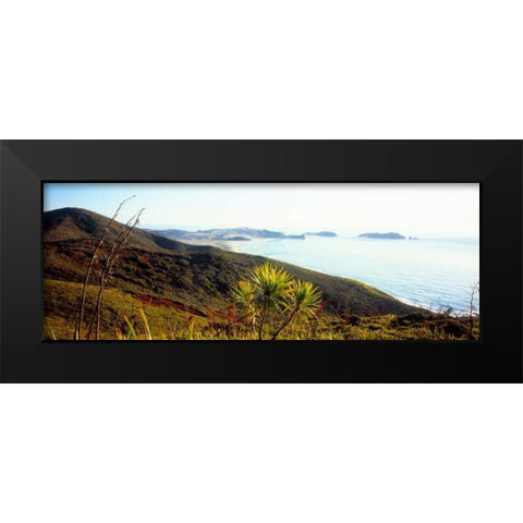 Cape Reinga I Black Modern Wood Framed Art Print by Stefko, Bob
