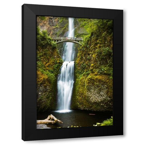 Multnomah Falls I Black Modern Wood Framed Art Print by Stefko, Bob