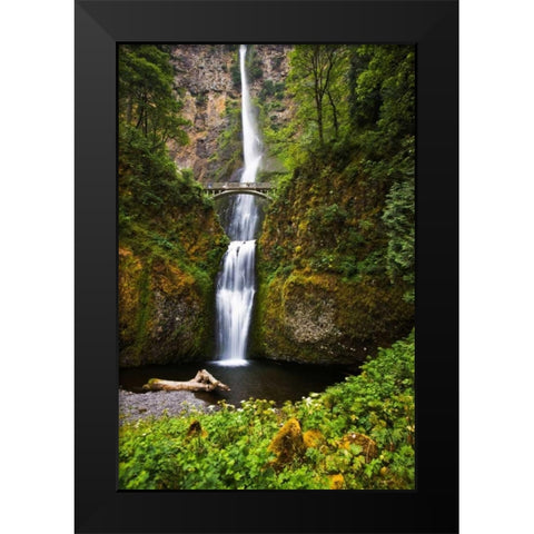 Multnomah Falls II Black Modern Wood Framed Art Print by Stefko, Bob