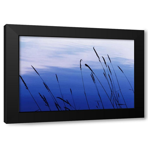 At Waters Edge I Black Modern Wood Framed Art Print by Stefko, Bob