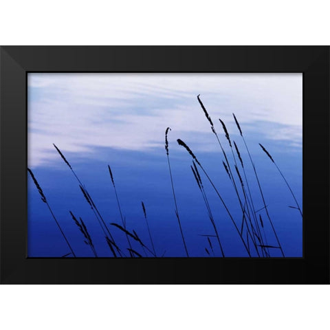 At Waters Edge I Black Modern Wood Framed Art Print by Stefko, Bob
