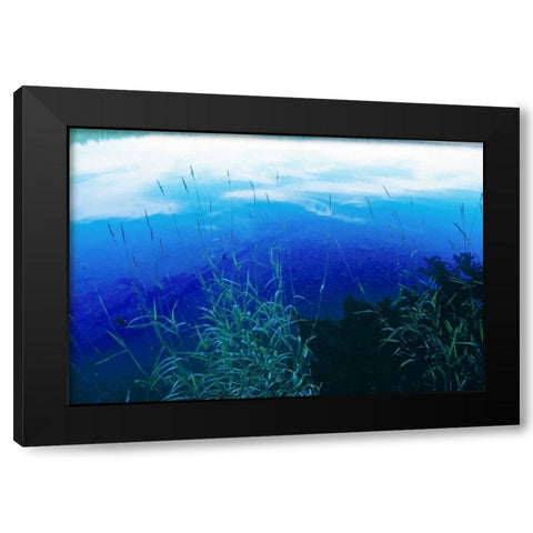 At Waters Edge II Black Modern Wood Framed Art Print by Stefko, Bob