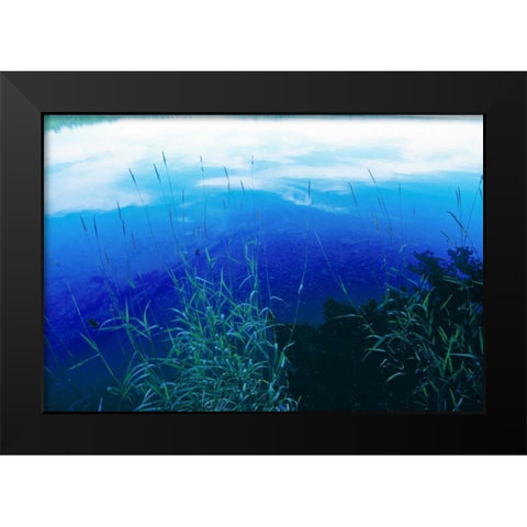 At Waters Edge II Black Modern Wood Framed Art Print by Stefko, Bob