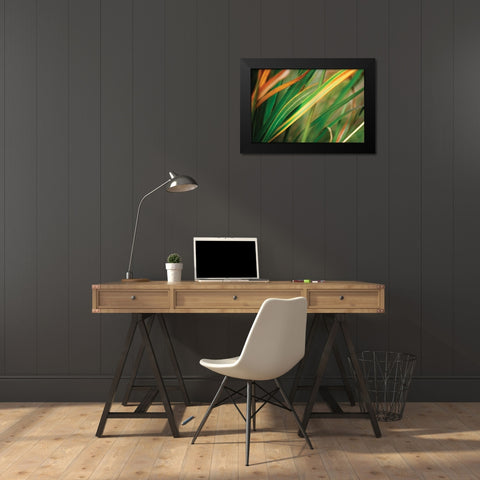 Grass in Fall I Black Modern Wood Framed Art Print by Stefko, Bob