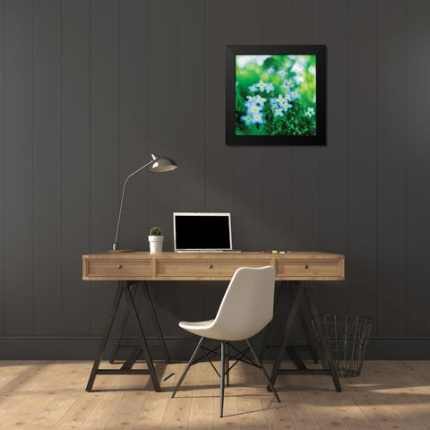 Blooms in Spring II Black Modern Wood Framed Art Print by Stefko, Bob