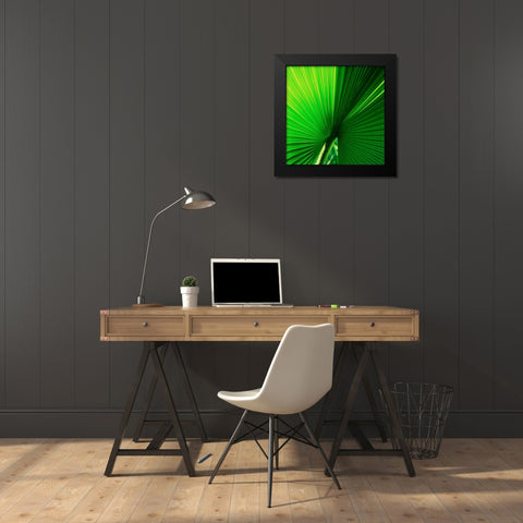 Palm Frond I Black Modern Wood Framed Art Print by Stefko, Bob