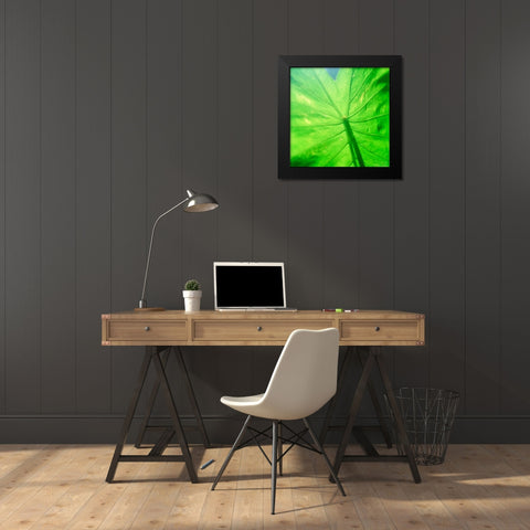 Taro Leaf Black Modern Wood Framed Art Print by Stefko, Bob