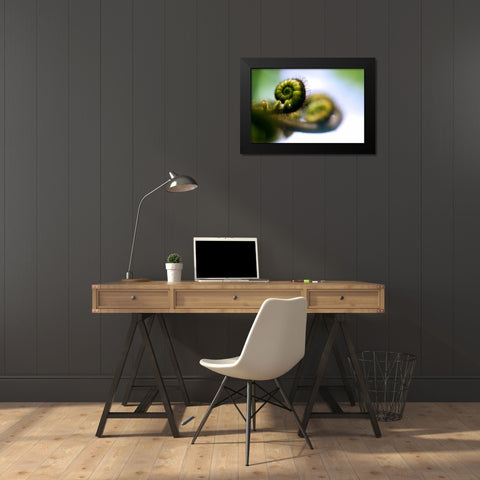 Black Tree Fern II Black Modern Wood Framed Art Print by Stefko, Bob