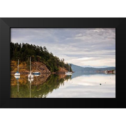 Sooke Harbor I Black Modern Wood Framed Art Print by Stefko, Bob