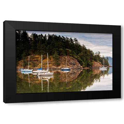 Sooke Harbor II Black Modern Wood Framed Art Print by Stefko, Bob