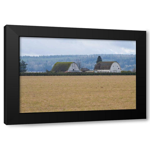 Dual Barns Black Modern Wood Framed Art Print with Double Matting by Styber, Dana