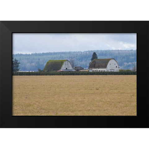 Dual Barns Black Modern Wood Framed Art Print by Styber, Dana