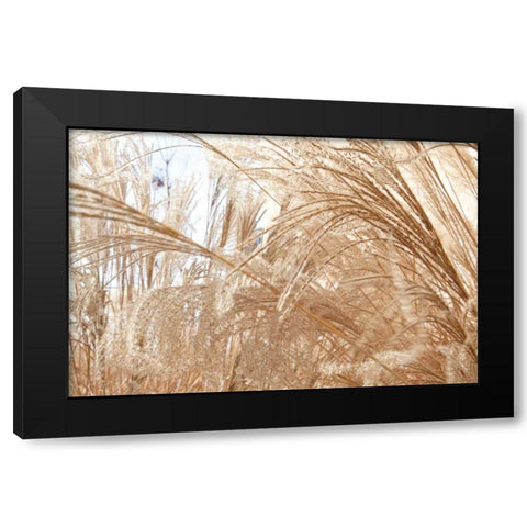 Blowing Grass I Black Modern Wood Framed Art Print with Double Matting by Styber, Dana