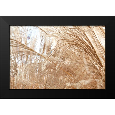 Blowing Grass I Black Modern Wood Framed Art Print by Styber, Dana