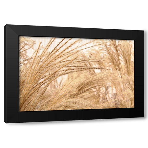 Blowing Grass II Black Modern Wood Framed Art Print by Styber, Dana